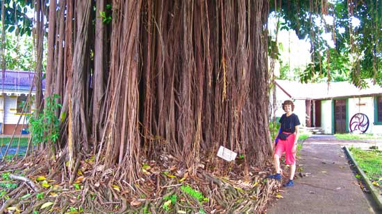 Nina Lee in Martinique.